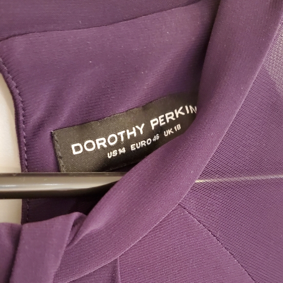 Sheer Lantern Sleeve Dress - Picture 5 of 12